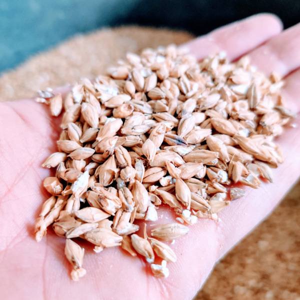 IMG_20200321_151304v IMG_20200321_151304v